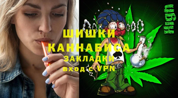 стаф Коряжма