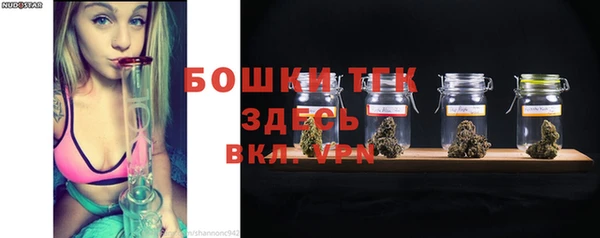 стаф Коряжма