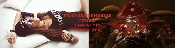 стаф Коряжма
